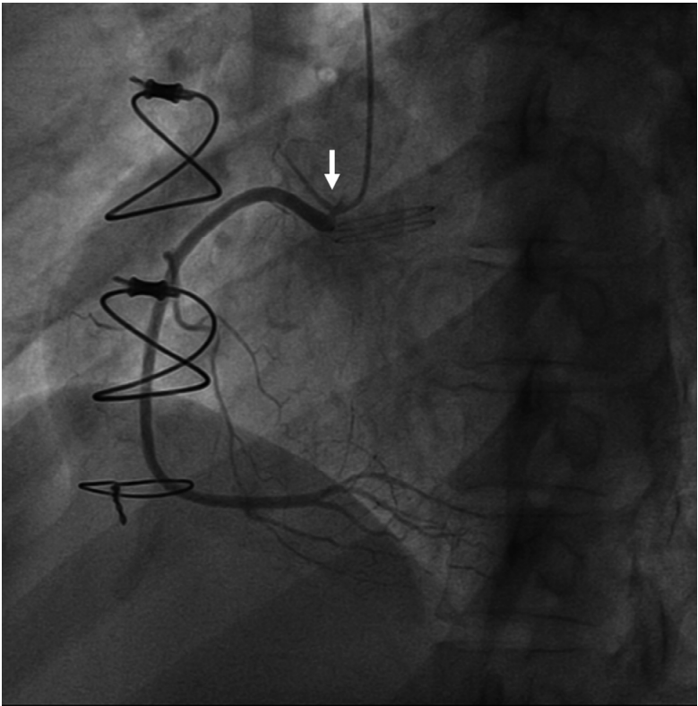 Figure 2.