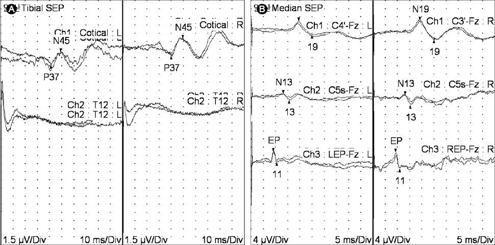 kjm-83-5-683-24f3.tif