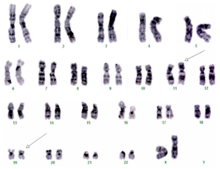 kjm-90-1-63f3.gif