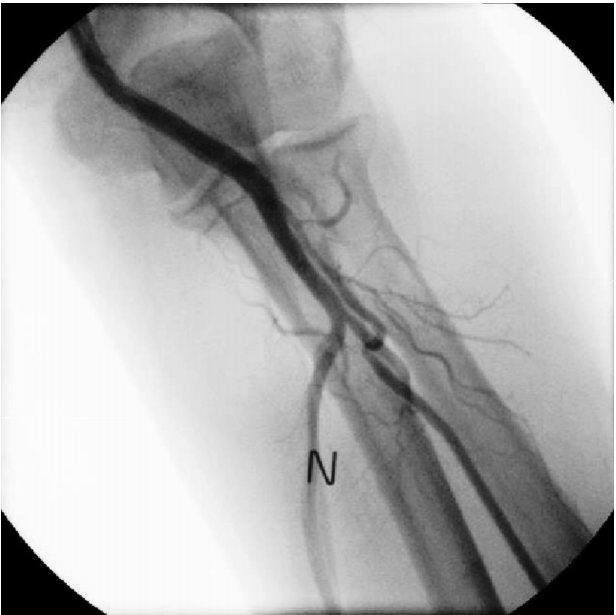 kjm-90-2-136f3.tif