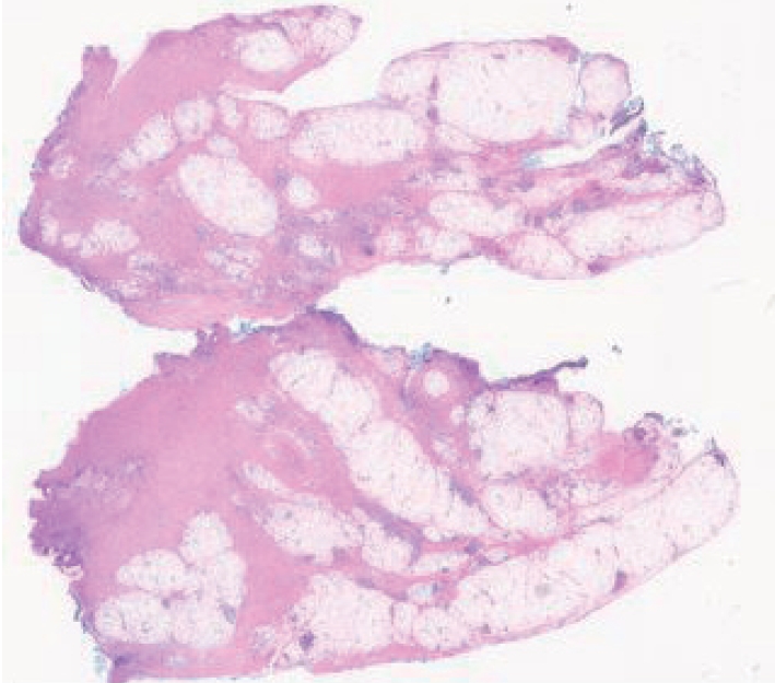 Figure 7.