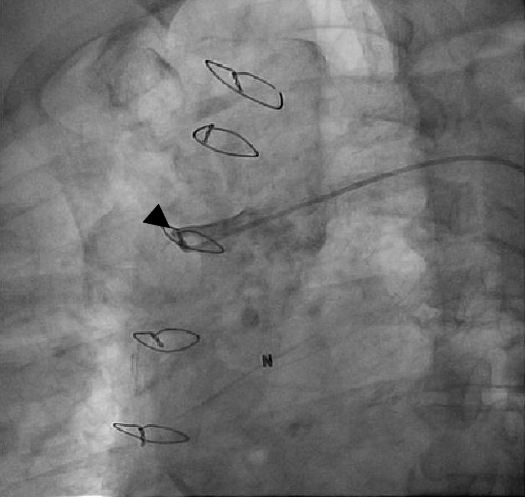 Figure 3.