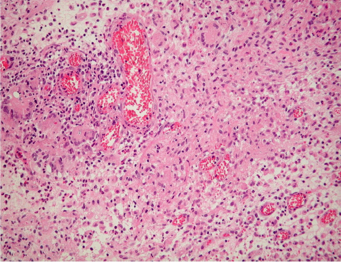 Figure 5.