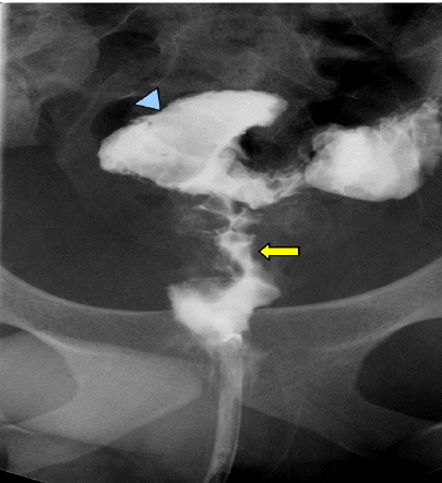 Figure 3.