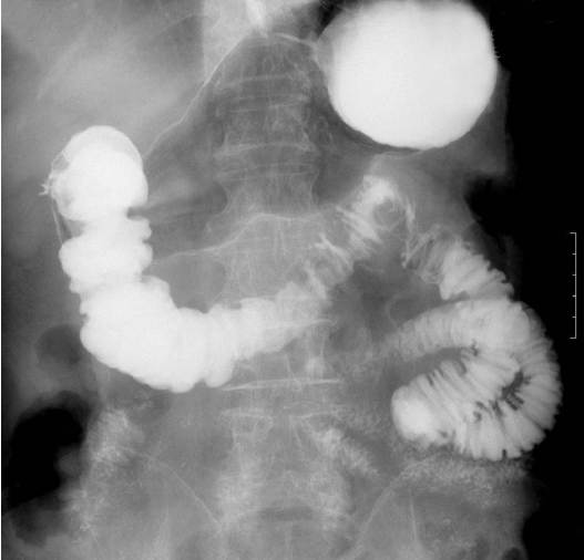 Figure 3.