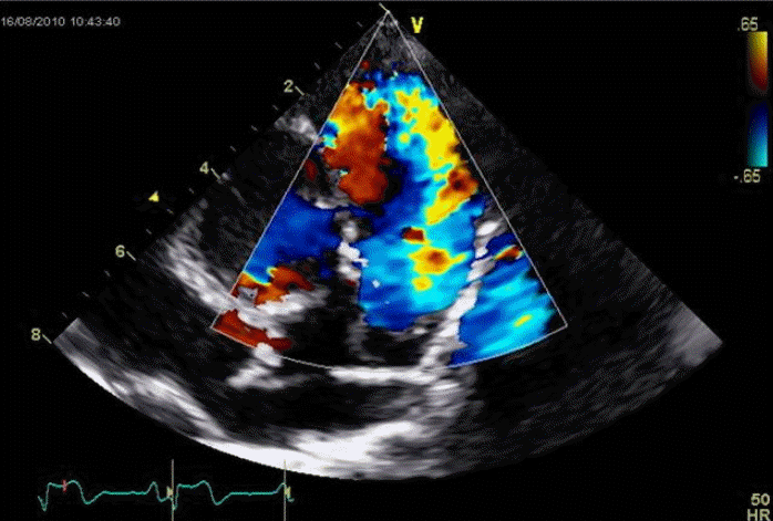 Figure 2.