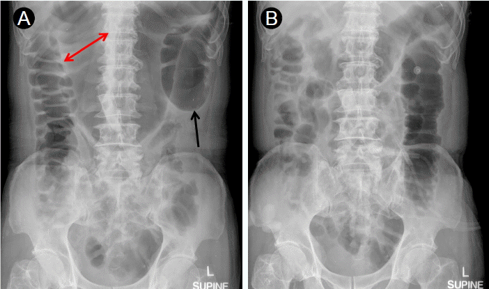Figure 2.