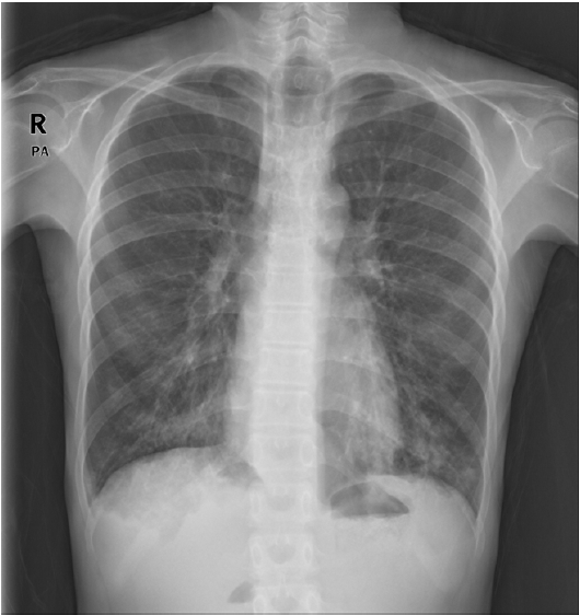 Figure 1.