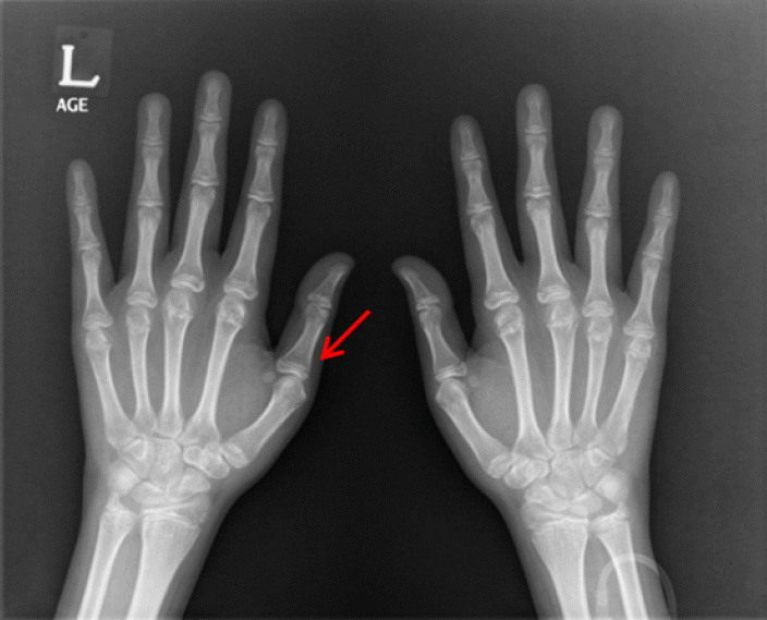 Figure 1.