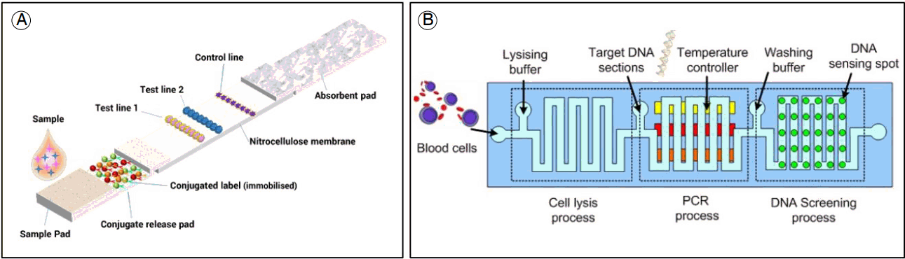 Figure 1.